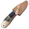 TheBoneEdge 9" Damascus Steel Horn & Wood Hadle Hunting Knife With Leather Sheath