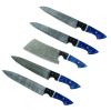 TheBoneEdge 5 Pcs Blue & Black Resin Handle Damascus Fordge Blade Chef's Knife Set
