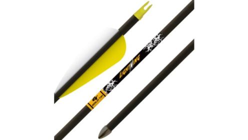 GOLD TIP ARROW LIGHTNING YOUTH 2.5" GLUED-IN PNT 3PK *