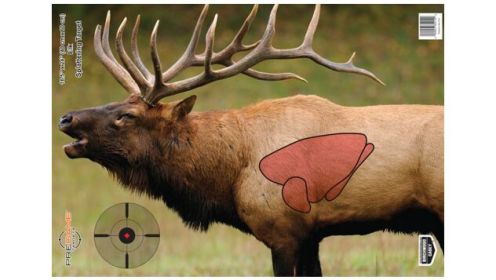 B/C TARGET PREGAME 16.5"X24" ELK TARGET 3-TARGETS